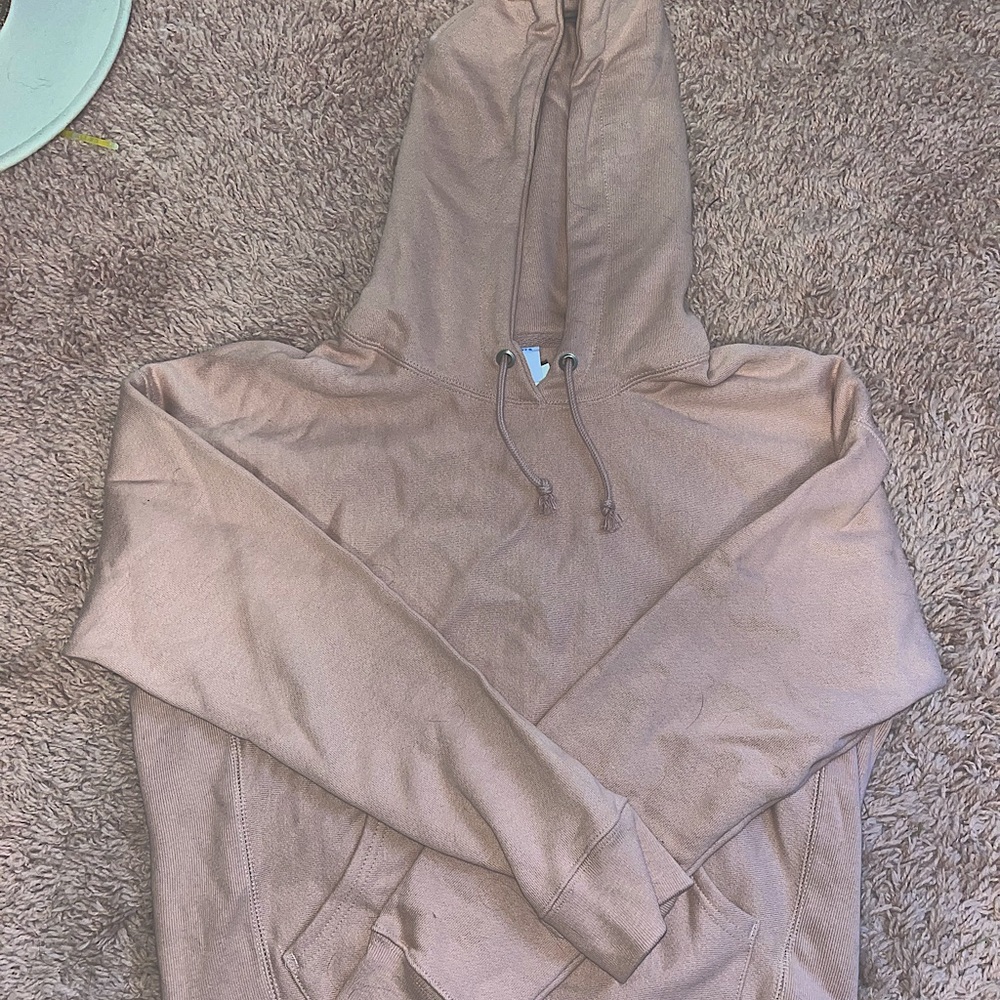 champion hoodie -NWT